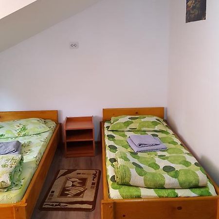 Casa Borcean Villa Sasca Montana Ngoại thất bức ảnh