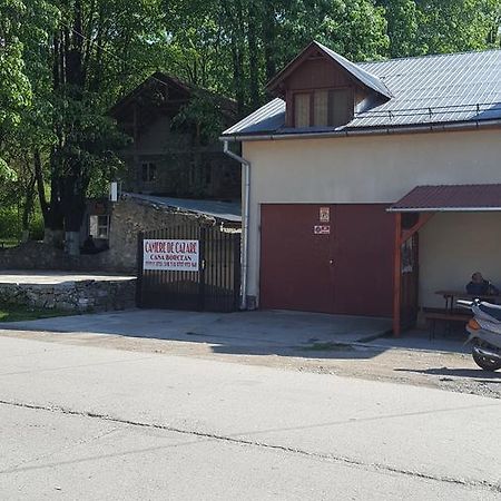 Casa Borcean Villa Sasca Montana Ngoại thất bức ảnh