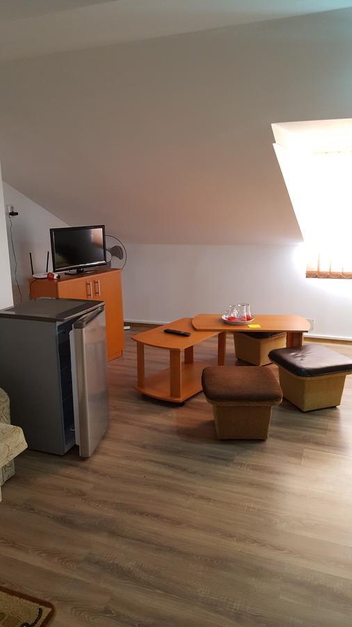 Casa Borcean Villa Sasca Montana Ngoại thất bức ảnh
