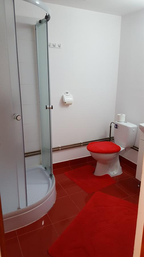 Casa Borcean Villa Sasca Montana Ngoại thất bức ảnh