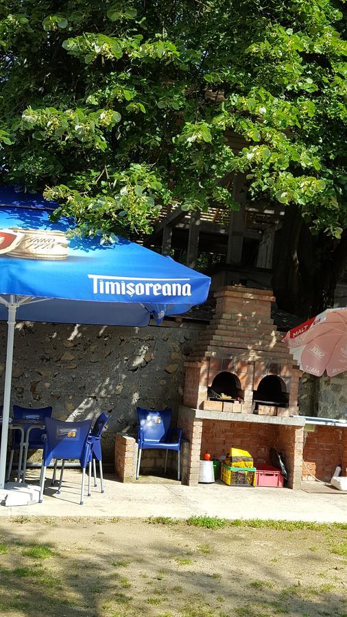 Casa Borcean Villa Sasca Montana Ngoại thất bức ảnh