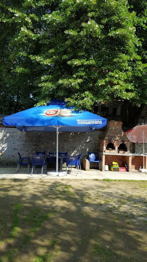 Casa Borcean Villa Sasca Montana Ngoại thất bức ảnh